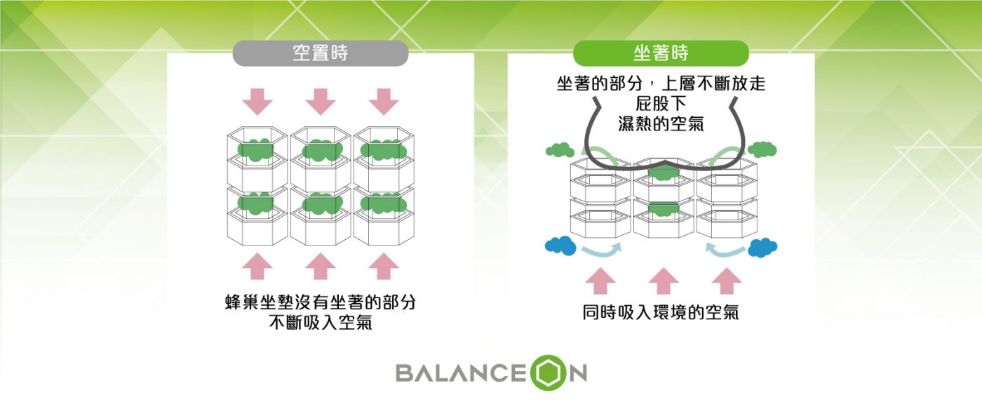 Balance Seat Balance Seat Plus+ 凝膠健康坐墊 (L)